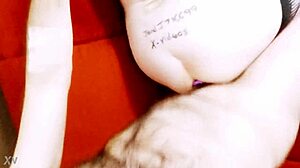 Stockings And Pigtails Verification Video