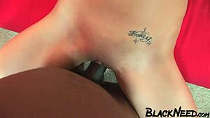 brunette waitress gets a creampie from a bbc