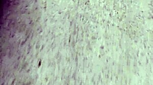 Colombiana: A Passionate Story of a Colombian Woman