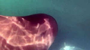 feeling the underwater creampie and dildo deep in my shaved pussy