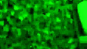 I love naughty penny pax