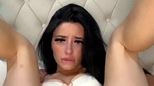 American Exchange Student Solo Play