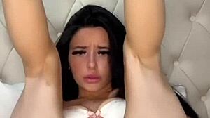 American Exchange Student Solo Play