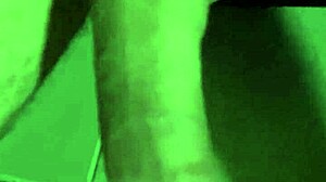 Close-up view of my newly trimmed area