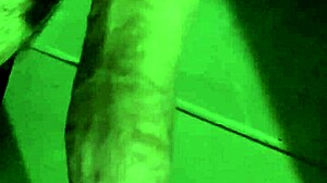 Close-up view of my newly trimmed area