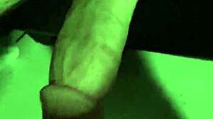 Close-up view of my newly trimmed area