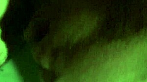 Close-up view of my newly trimmed area