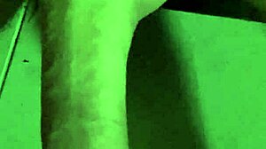 Close-up view of my newly trimmed area