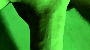 Close-up view of my newly trimmed area