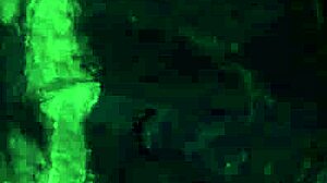 anya olsen craves rough missionary sex in public outdoor fuckfest