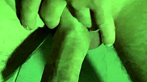 Close-up view of my newly trimmed area