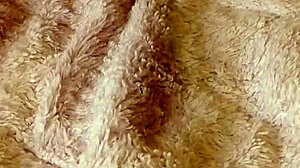 Hey, check out this fetish fingering with mala dvojka 😏