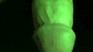 Close-up view of my newly trimmed area