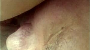 Nigarchrist - Update 1095 - Vid 20250505 150251 - May 05 2025