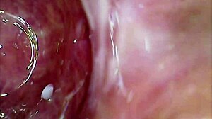 Real pussy orgasm contractions on cam, sperm in juice under microscope!