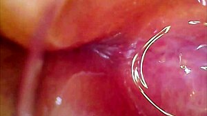 Real pussy orgasm contractions on cam, sperm in juice under microscope!