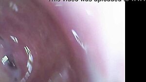 Real pussy orgasm contractions on cam, sperm in juice under microscope!
