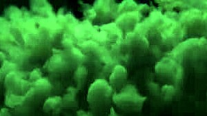 Come on naughty fuck my pussy