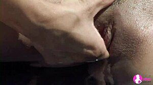 wanna see busty blondes and brunettes fingering and licking big tits by the pool?