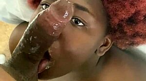 jshump gets juicythehoudini to cream hard in missionary action. it’s a wild amateur ride.