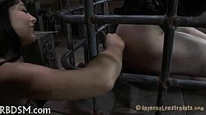 check out this bizarre sadomasochism tube for some wild stuff