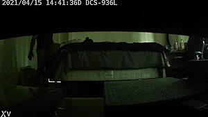 Daytime fun in the park