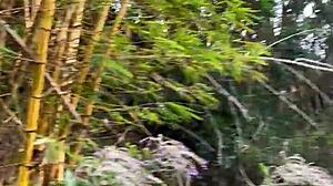 I helped a stranger and she wanted forest sex, almost caught