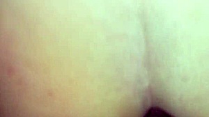 Bbw creampie compilation of chubby wives getting cumshots