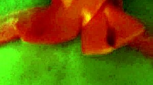 Blowjob on Big Cock with Wet Pussy Exposure