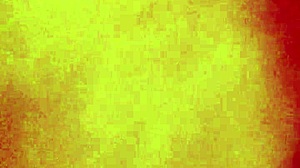 Blowjob on Big Cock with Wet Pussy Exposure