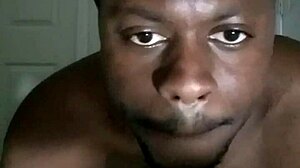 sheer beatboxing compilation 2 with see-through elements