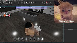 Condo Showcase Dm Sillyhilariousactivities If Interested In Buying