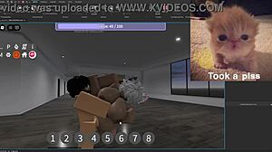 Condo Showcase Dm Sillyhilariousactivities If Interested In Buying