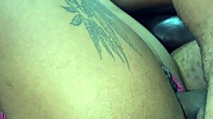 leo ogro fucks nicoli fox's ass roughly