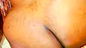 Sundaydogood614 Update 384 Vid 20240808 211254 Aug 08 2024