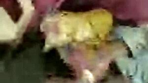 Want to see this threesome handjob group action?