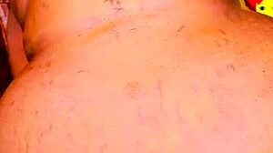 Sundaydogood614 Update 384 Vid 20240808 211254 Aug 08 2024