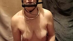 Hey, Check This 2025 Ponygirl Slave Getting Humiliated And Licked