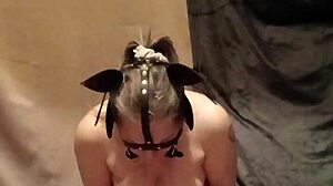 Hey, Check This 2025 Ponygirl Slave Getting Humiliated And Licked