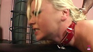 in wild interracial sex a naughty blonde takes a monster cock deep