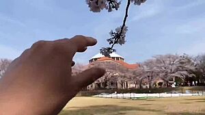 hey, chilling at sakura hot springs with nacchi, wanna join us?