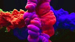 i fucked that sexy reporter from sao paulo with big ass, giving oral and assfucking on monster cock in rio, cumshot everywhere oh man.