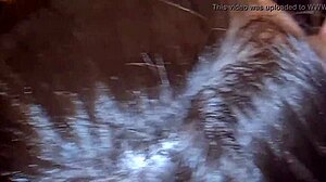 i fucked that sexy reporter from sao paulo with big ass, giving oral and assfucking on monster cock in rio, cumshot everywhere oh man.