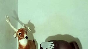 Exploring Zodiac Patience Through Non-Masturbatory Demonstrations Part Four