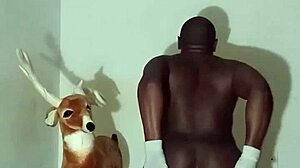 Exploring Zodiac Patience Through Non-Masturbatory Demonstrations Part Four