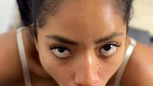 Beg Stepbrother For Huge Cock Cum Blast