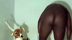 Exploring Zodiac Patience Through Non-Masturbatory Demonstrations Part Four