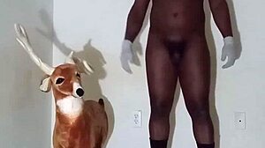 Exploring Zodiac Patience Through Non-Masturbatory Demonstrations Part Four