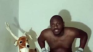 Exploring Zodiac Patience Through Non-Masturbatory Demonstrations Part Four