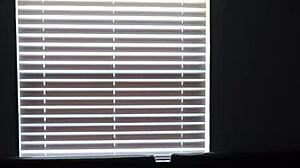 big titt lesbian plays with her shaved pussy then takes bbc deep